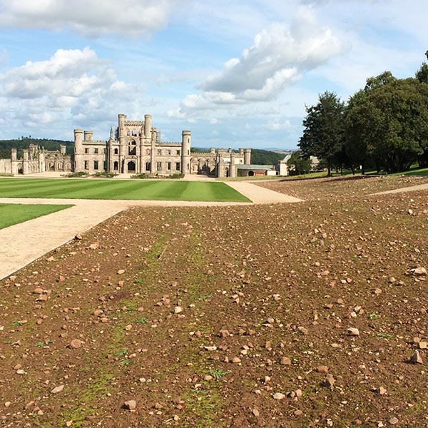 Paths and Lawns Installed