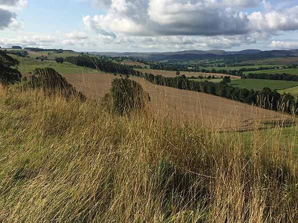 View from Prospect Terrace